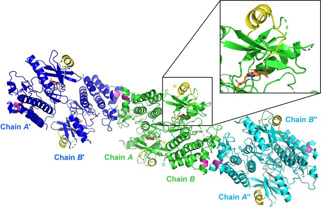 [Figure 3]