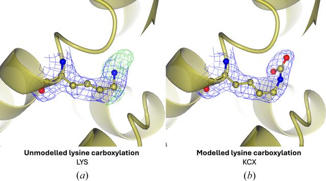 [Figure 16]