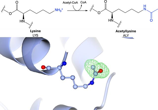 [Figure 4]