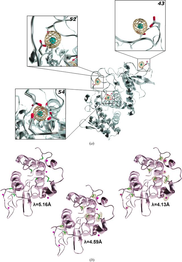 [Figure 3]