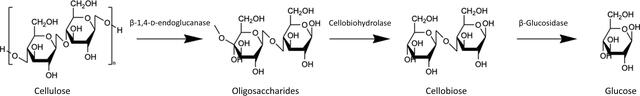 [Figure 1]