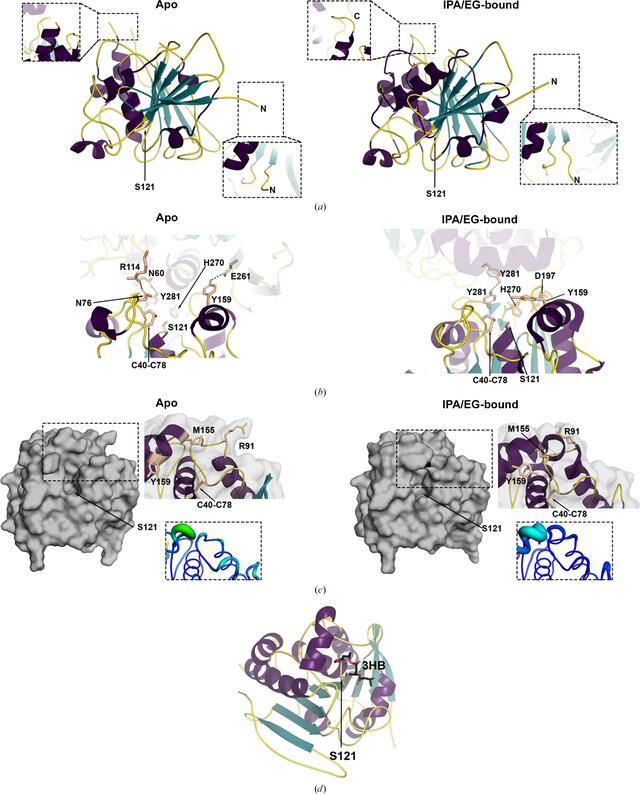 [Figure 1]