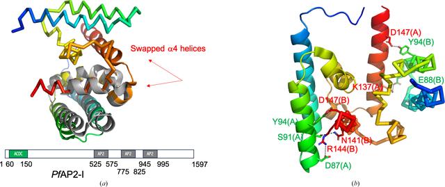 [Figure 2]