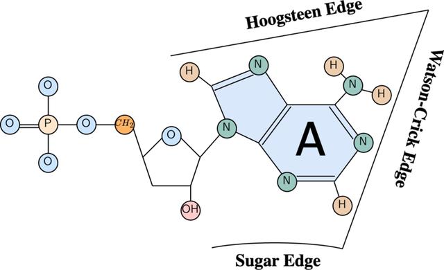 [Figure 1]