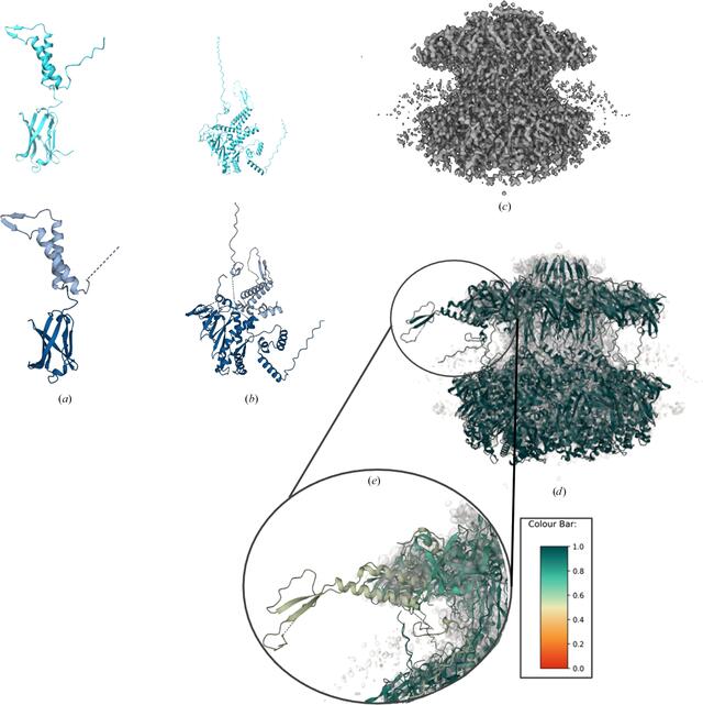 [Figure 10]