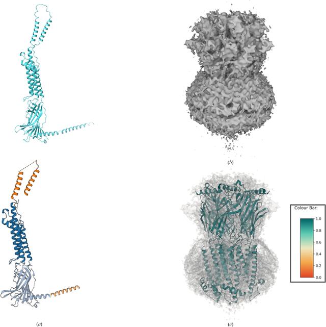 [Figure 11]