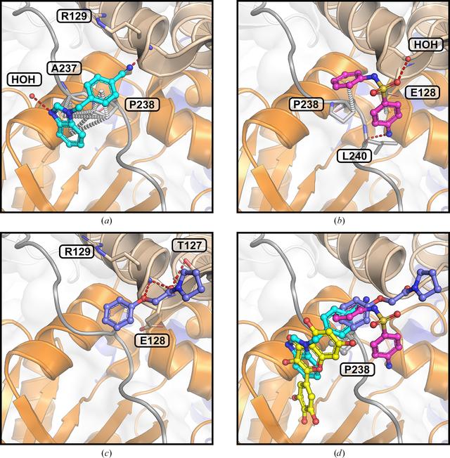[Figure 4]