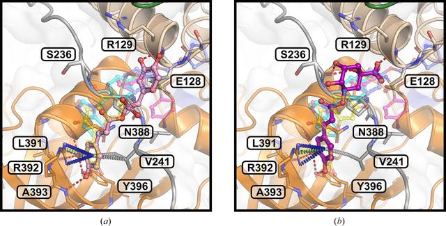 [Figure 6]