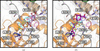[Figure 6]