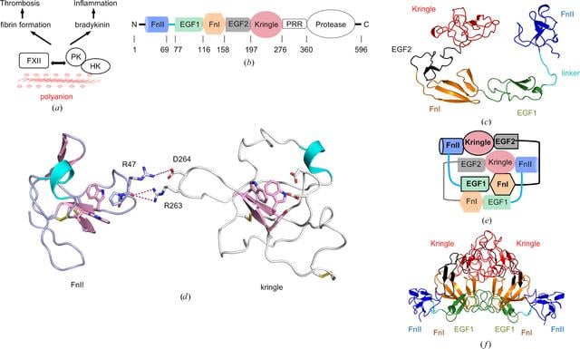 [Figure 1]