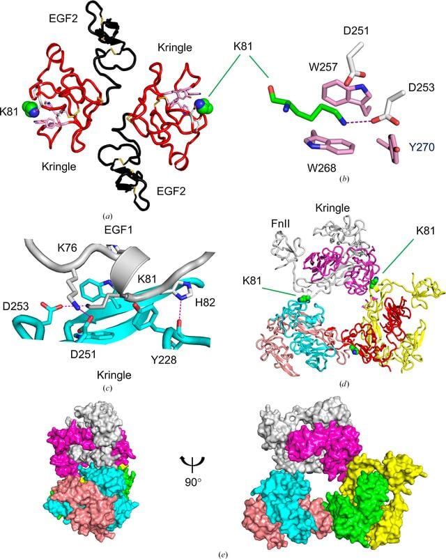 [Figure 3]