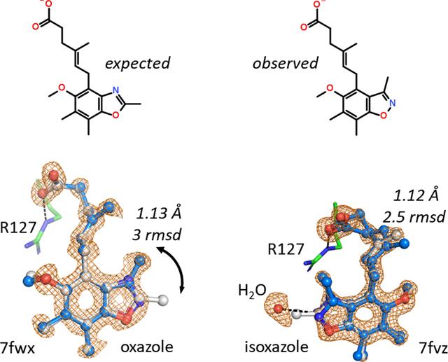 [Figure 1]