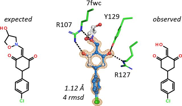 [Figure 10]