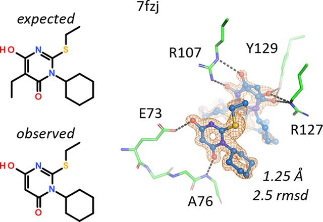[Figure 11]