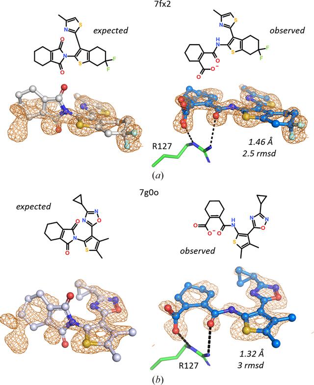 [Figure 12]