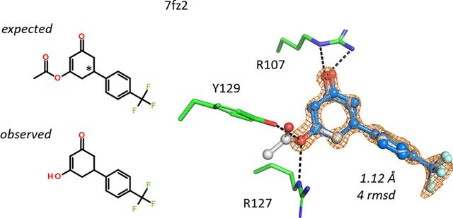 [Figure 13]