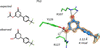 [Figure 13]