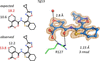 [Figure 19]