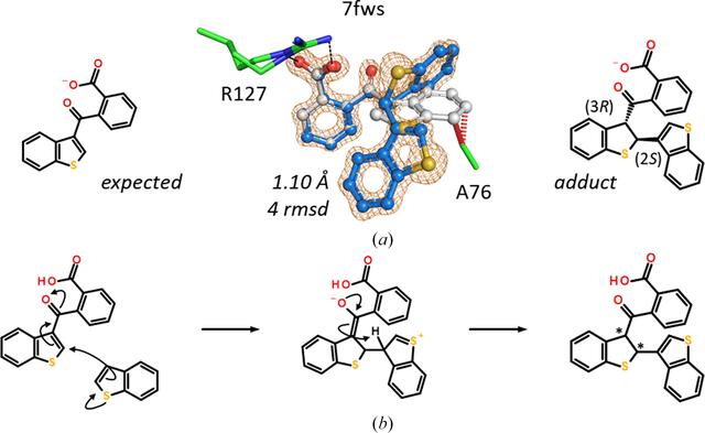 [Figure 20]