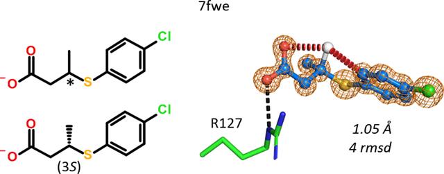 [Figure 21]