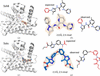 [Figure 23]