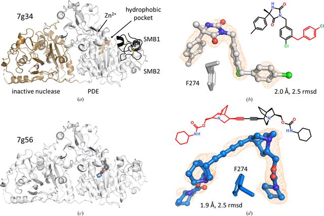 [Figure 24]