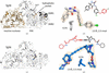 [Figure 24]