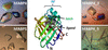 [Figure 1]