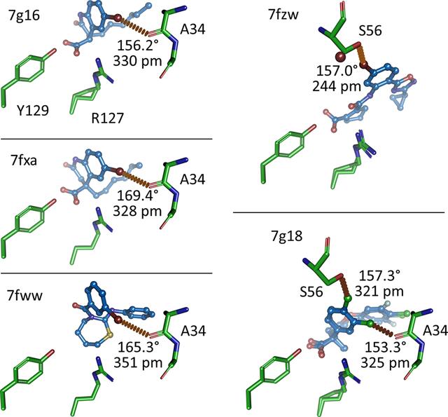 [Figure 6]