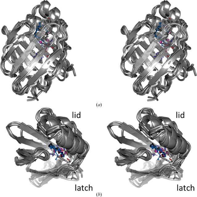 [Figure 2]