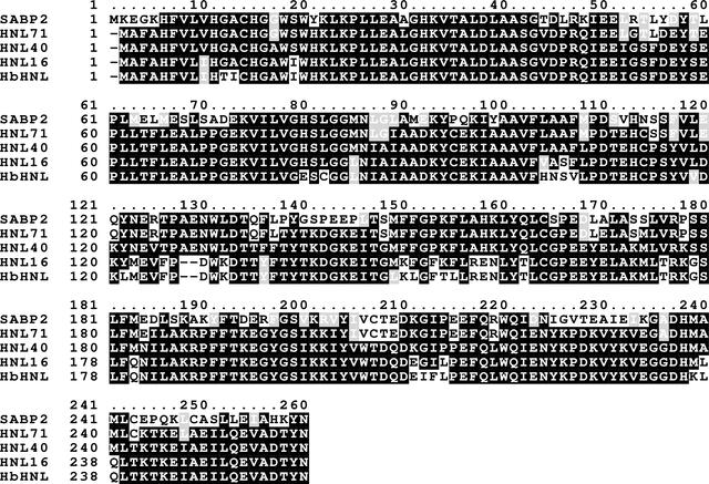 [Figure 1]