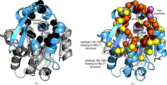 [Figure 3]