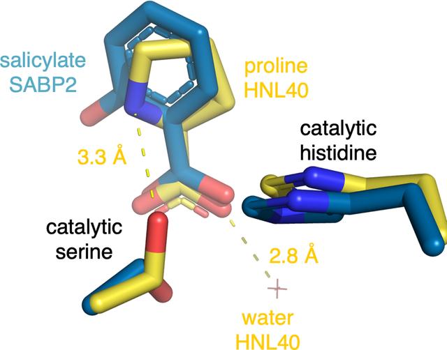 [Figure 4]
