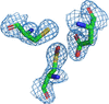 [Figure 7]