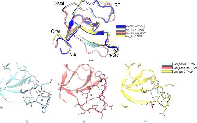 [Figure 4]