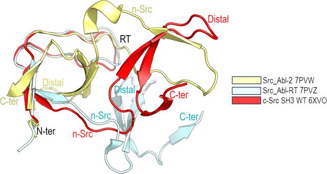 [Figure 6]
