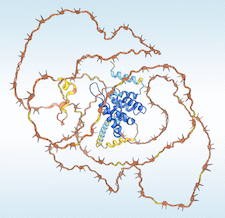 Highlighted illustration