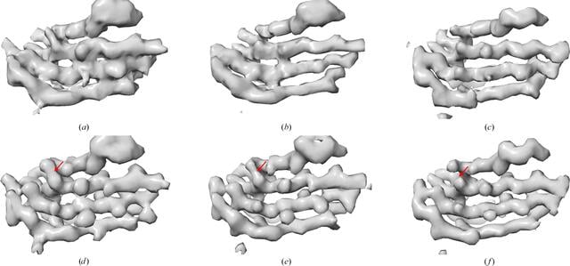 [Figure 5]