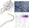 [Figure 2]