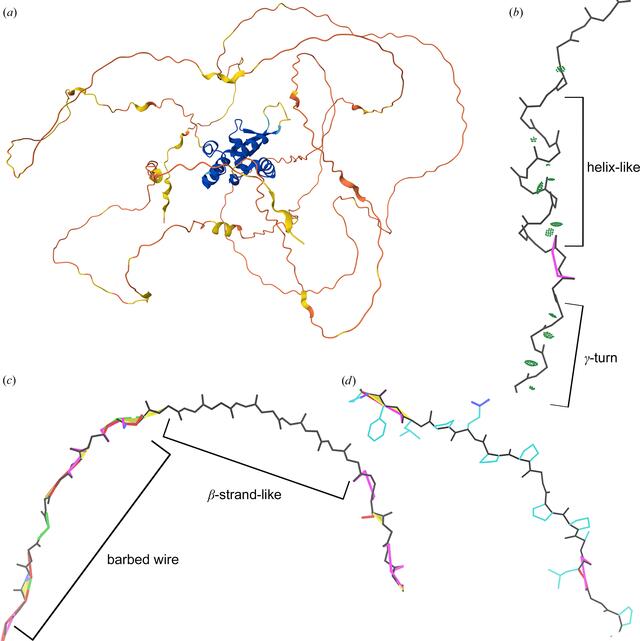 [Figure 5]
