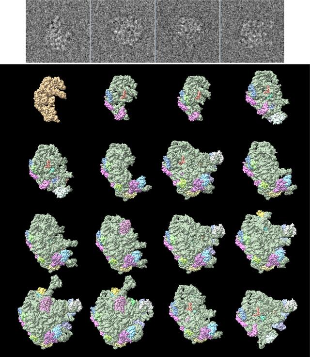 [Figure 2]