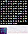 [Figure 4]