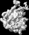 [Figure 5]