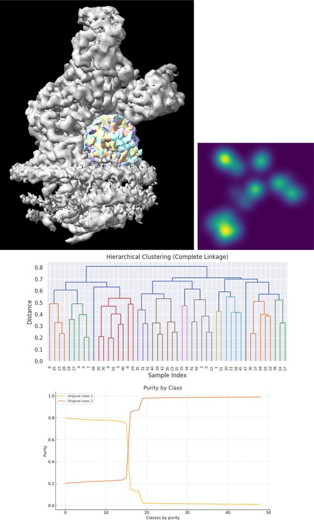 [Figure 6]