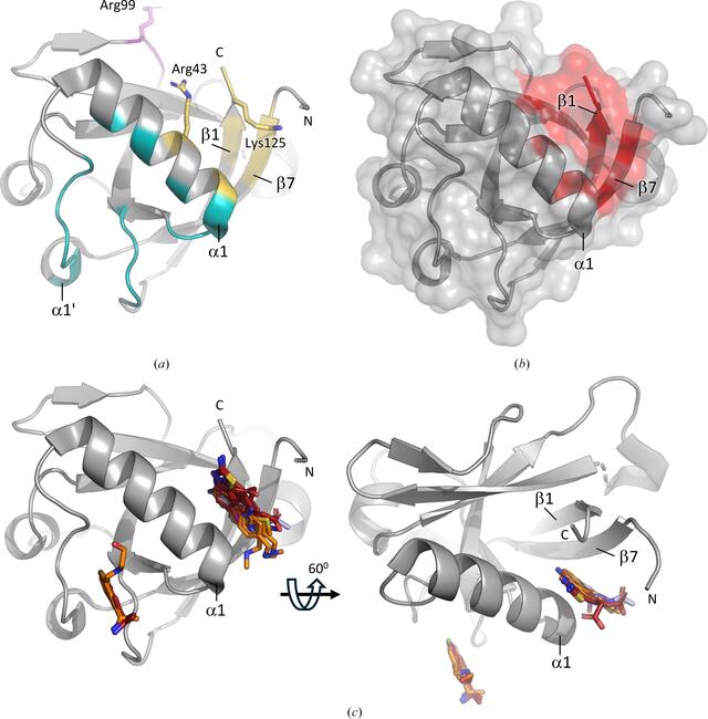 [Figure 1]