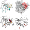 [Figure 1]