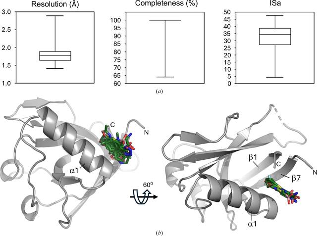 [Figure 3]