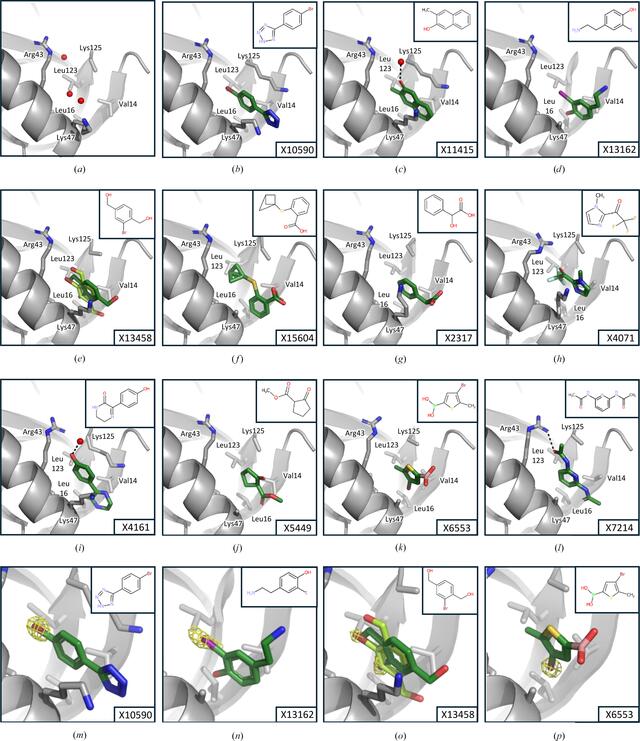 [Figure 4]