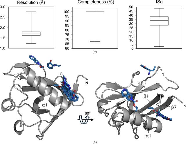 [Figure 5]