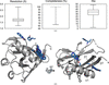 [Figure 5]